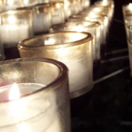 Christ’s Government on Earth – Reigning As Kings and Priests