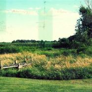 Dispossessing the land – the Christian’s exciting task