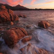 What does the Bible say about pollution and the earth?