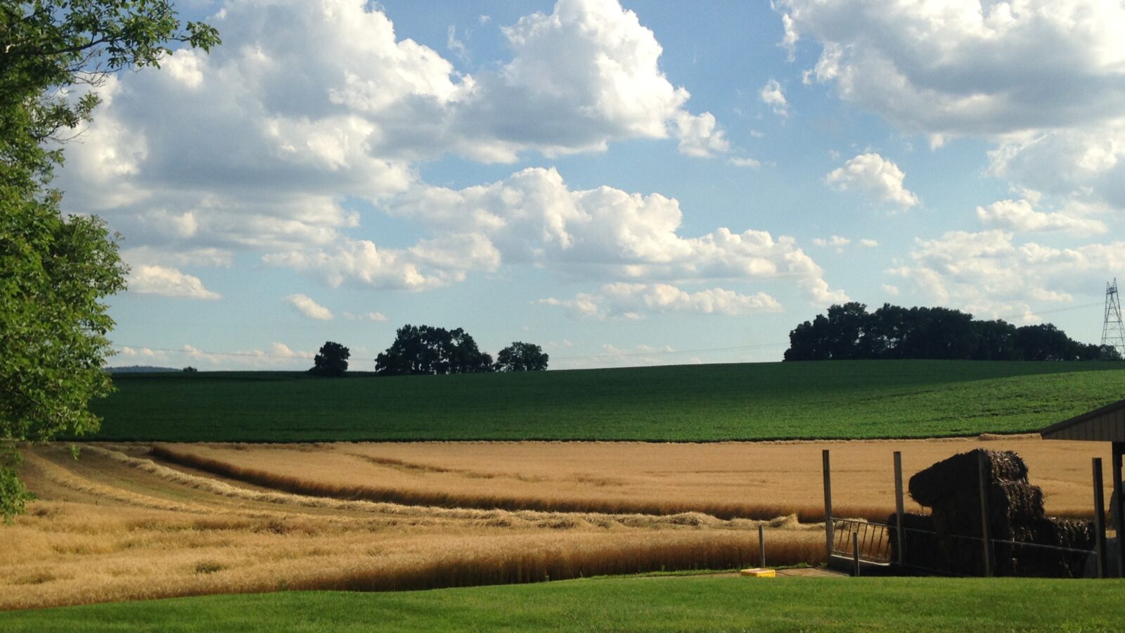 Wheat and tares, judgment house of faith